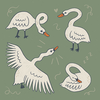 Silly swans art drawing hand drawn illustration nature procreate