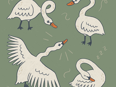 Silly swans art drawing hand drawn illustration nature procreate