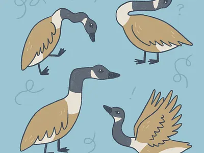 Silly geese art drawing illustration nature procreate