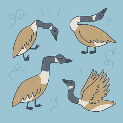 Silly geese art drawing illustration nature procreate