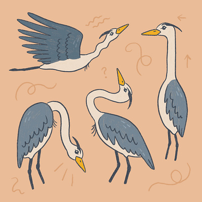Silly herons art drawing hand drawn illustration nature procreate