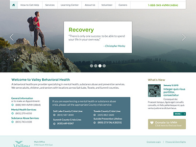 Valley Behavioral Health Website website design