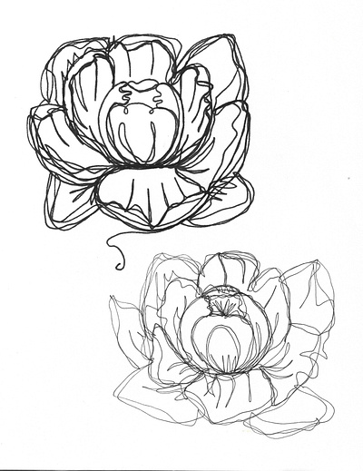 Line Work Peony - Concepts botanical branding contour drawing floral flowers illustration ink line art monoline peony