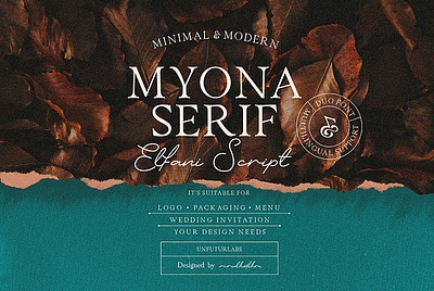 Myona Serif & Elfani Script + Extra designer kit element design film font logo menu design minimalist font modern packaging design script font serif font stories template templates for instagram wedding invitation