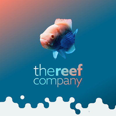 Brand identity for The Reef Comapny brand identity branding coral graphic design logo ocean reef visual identity