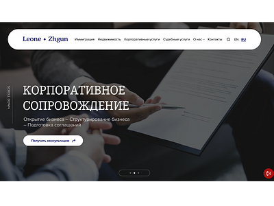 Leone Zhgun branding ui ux web design