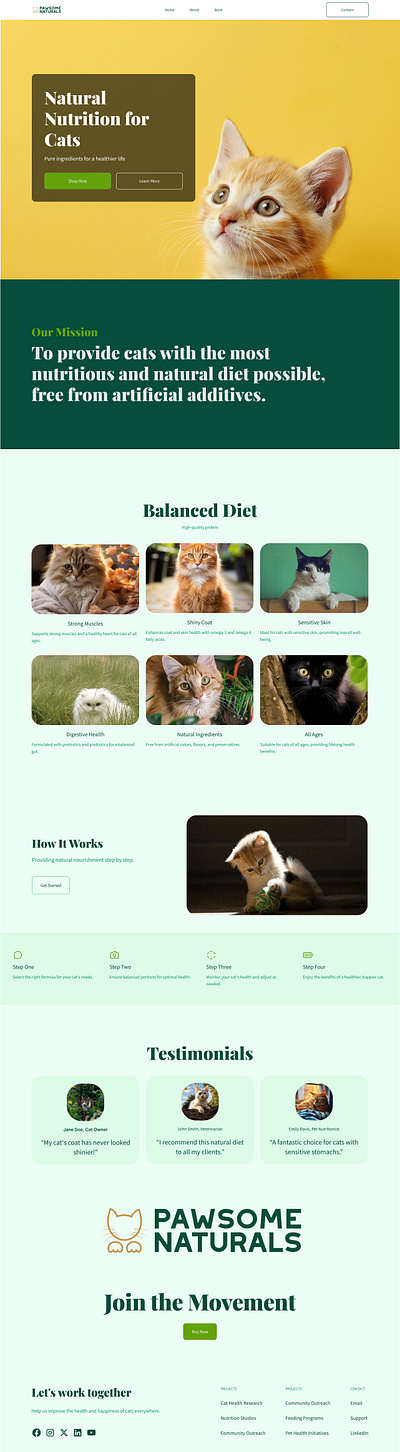 webpage design - cat food product branding design graphic design logo typography ui uiux ux