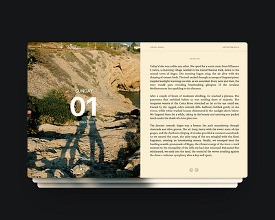 Visual Diary Concept on Web / Desktop diary app journal app text ui ui ui concept ui design uiux ux visual diary