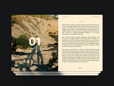 Visual Diary Concept on Web / Desktop diary app journal app text ui ui ui concept ui design uiux ux visual diary