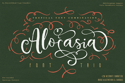 Alocasia - Tropical Font Combination branding combination font font font design font style graphic design lettering logotype sans serif script serif trio font tropical typography