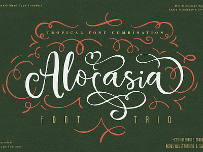 Alocasia - Tropical Font Combination branding combination font font font design font style graphic design lettering logotype sans serif script serif trio font tropical typography