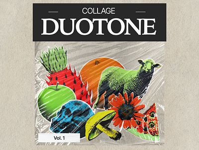 free DUOTONE COLLAGE branding collage duotone instagram photo post social media visual