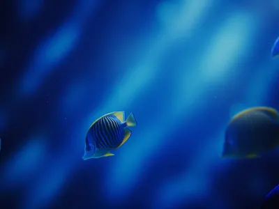 Blue fish 🐠 aquarium aquatic life biodiversity blue coral reef ecosystems fish freshwater fish illustration marine biology ocean oceanography reinspire saltwater fish sea creatures underwater