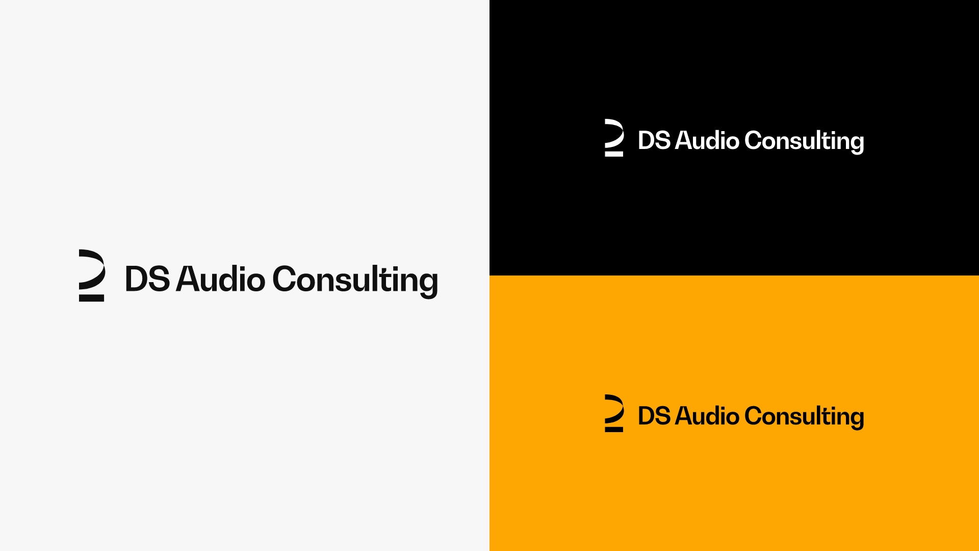 DS Audio Consulting | Logo variations branding graphic design logo