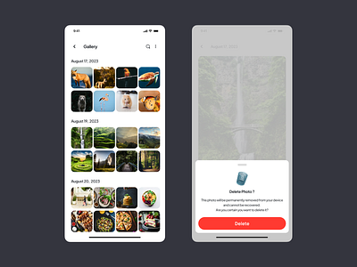 Delete Photo Screen - Mobile app branding confirmation confirmation screen delete delete screen design gallery ilustration mobile mobile app mobile screen ui ux