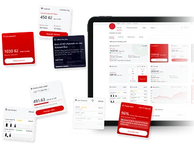 Customer Account Dashboard as part of eCare account admin customer dashboard design ecare payment service tariff ui webdesign widgets