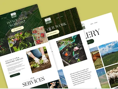 Hereford Website agriculture branding farming graphic design logo ui uiux web design web developer website development