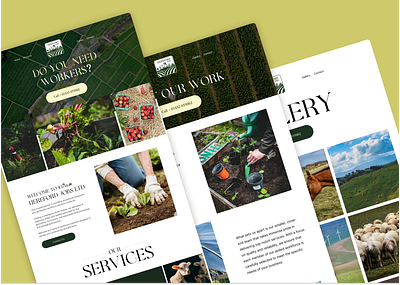 Hereford Website agriculture branding farming graphic design logo ui uiux web design web developer website development