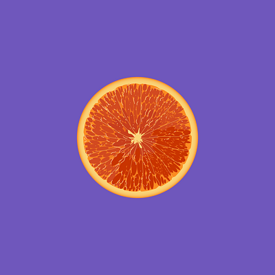 Drawing an orange slice in illustrator design digital art digital illustration drawing fruit art fruit slice graphic design illustration illustrator orange orange drawing orange slice pen pen tool sketch vector vector illustrator