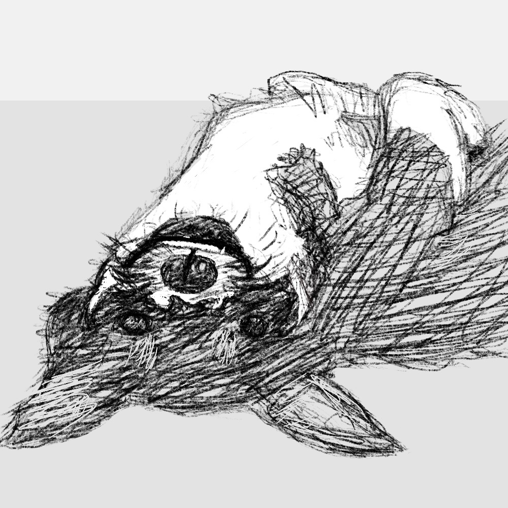 Happy Dog animal animals blackandwhite detail details dog dogs drawing illustration monochrome procreate sketching