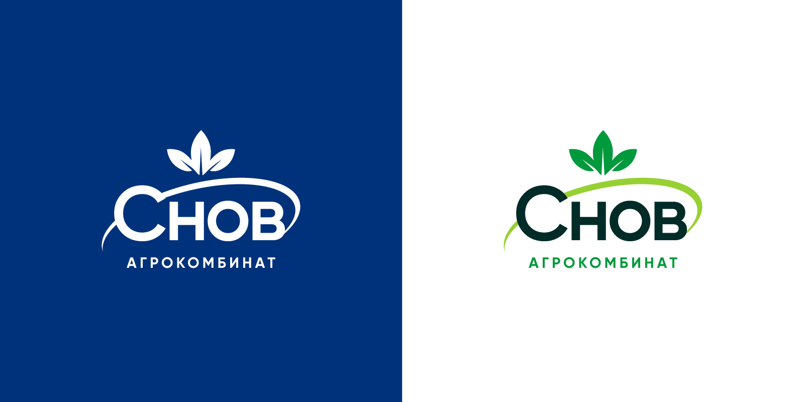 Logotype "Agrokombinat Snov" agro agrokobynate black eps green logo logotype snov svg vector агрокомбинат колхоз снов
