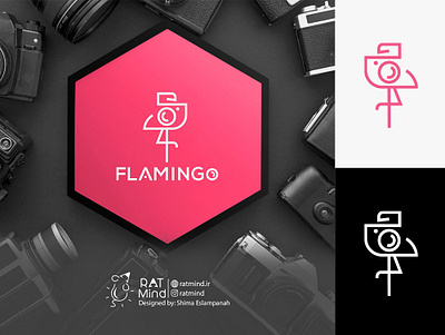 Flamingo Logo Design design graphic design logo logofolio logoshop