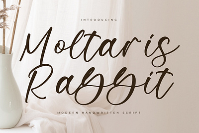 Moltaris Rabbit style