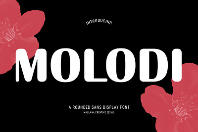 Molodi Rounded Display Font 3d animation branding decoration design font fonts graphic design illustration logo motion graphics nostalgic