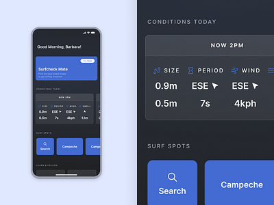 Surf Conditions App Concept - RAW concept design forecast mobile design surf ui wireframe