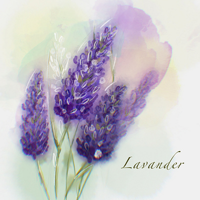 A bouquet of lavender flower graphic design illustration lavender watercolor