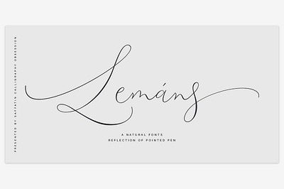 Lemans Fonts autumn calligraphy christmas design display fall modern otf script swashes ttf typeface ui ux winter