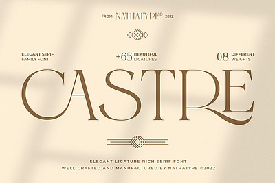 Castre - Serif Font Family (Updated) alphabet art background design elegant font italic letter letters luxury minimal serif symbol type typeface typography vector vintage