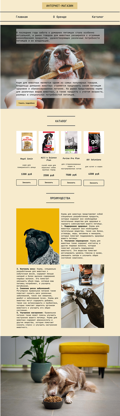 Лендинг для интернет-магазина корма для питомцев design graphic design lending site ui