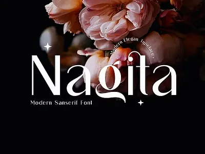 Nagita Sans Serif Font alphabet beauty creative design display elegant font letter logo minimal modern sans serif symbol type typeface typography vector