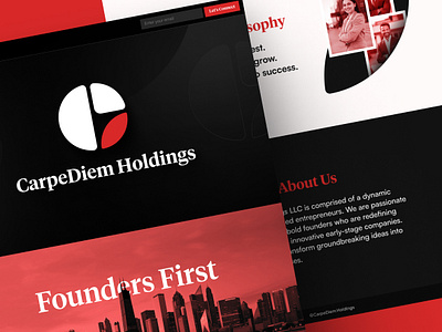CarpeDiem Holdings Landing Page graphic design logo ui