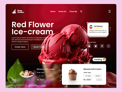 Website For Ice Cream branding graphic design ui