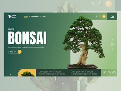 Website For Plants branding graphic design ui