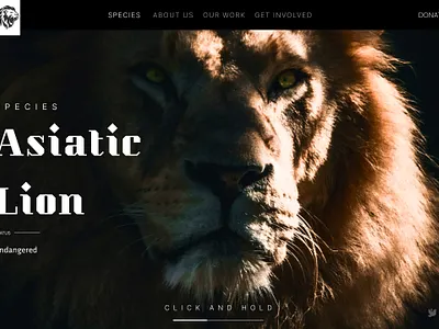 web design design figma graphic design logo mobile app ui ux web design