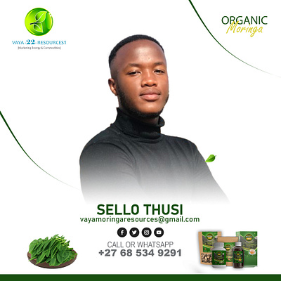 Organic Moringa Ad Design branding graphic design