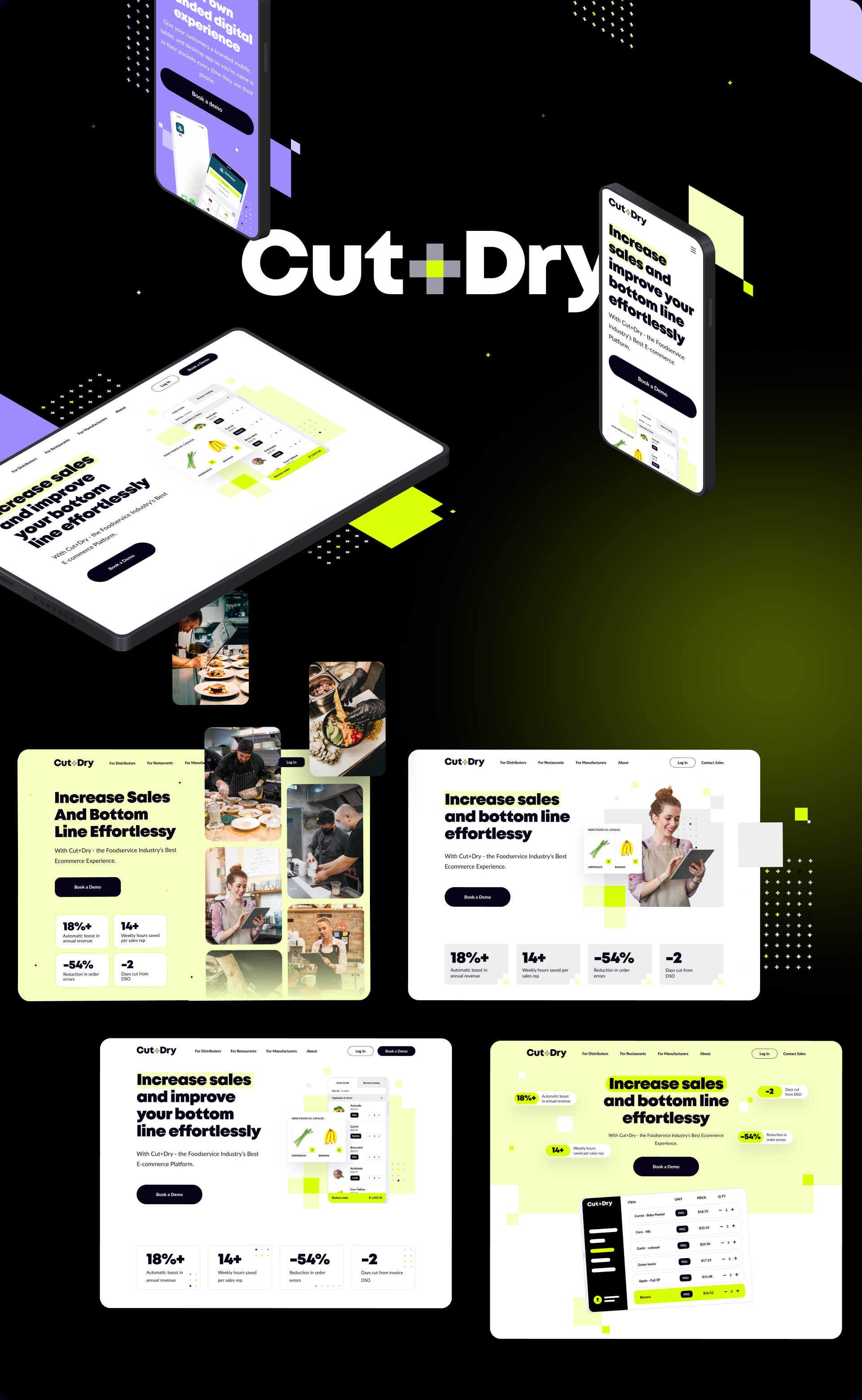 Example of Saa S Marketing Website Design