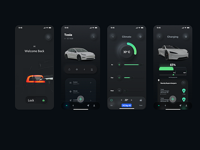 Tesla Concept App graphic design ui