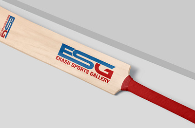 Presenting the ESG (Ekash Sports Gallery) Logo Concept bat logo bat sticker cricket logo cricket logo design cricket logo designs design cricket logo logo cricket match logo design sports logo tournament logo