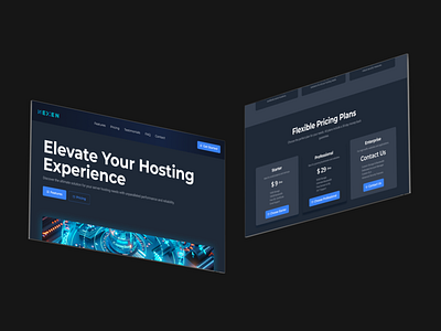 Hosting Server Web UI branding dark graphic design hosting mockup server ui ux website