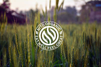 NITO ORGANIC (Organic ood) branding graphic design logo