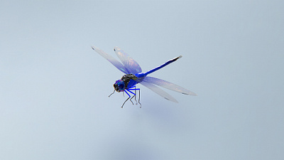 3D Dragonfly C 3d after effects animation c4d cgi cinema 4d design dragonfly free free wallpaper graphic design insect iphone minimal phone wallpaper