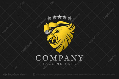 Eagle Shield logo for sale america company eagle falcon flag hawk logo logoforsale logos national shield star strong usa