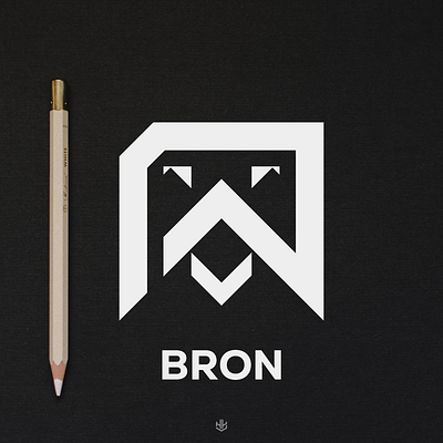 B+N Logo design art branding business company creative face graphic design logo monogram symbol