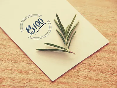 B100 Apparel Logo for an Apparel Manufacture company. branding design graphic design illustration logo logo design vector visual visual design