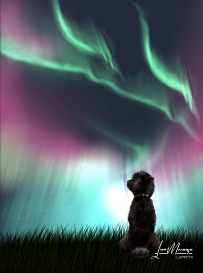 Galaxy Sam dog galaxy graphic design pet pet portrait polar lights portrait puppy sky