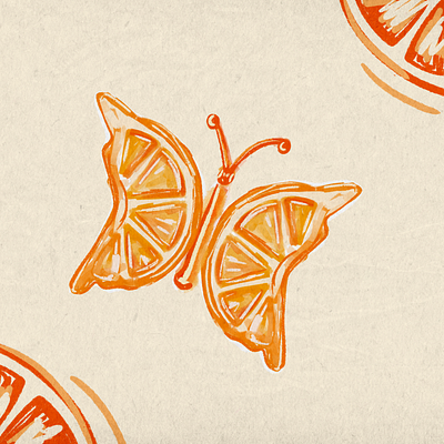 Citrus Wings art butterfly concept hand drawn illustration orange